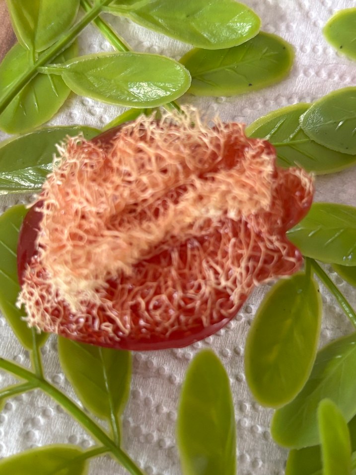 Çilek  görünümlü lifli sabun - Görsel 2