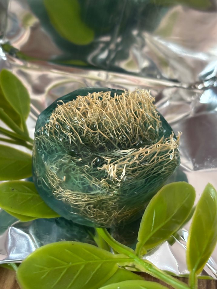 Doğal Bitkisel Özlü Şeffaf Sabun - Görsel 2