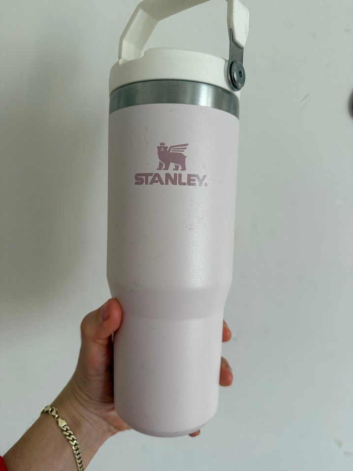 Stanley Pudra beyaz Termos - Görsel 2