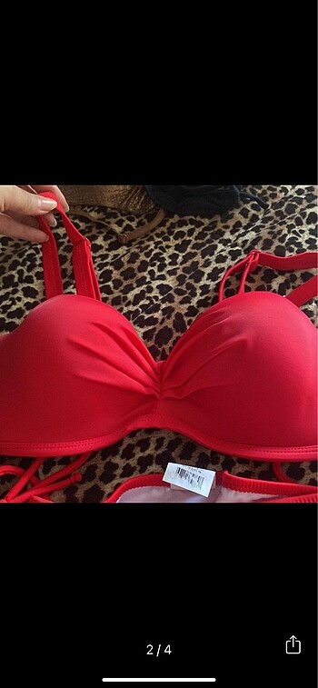 Penti bikini