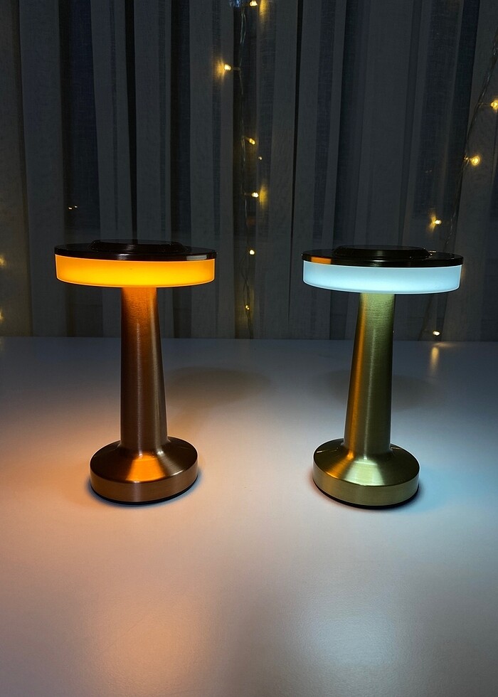 Mantar masa lamba - Görsel 4