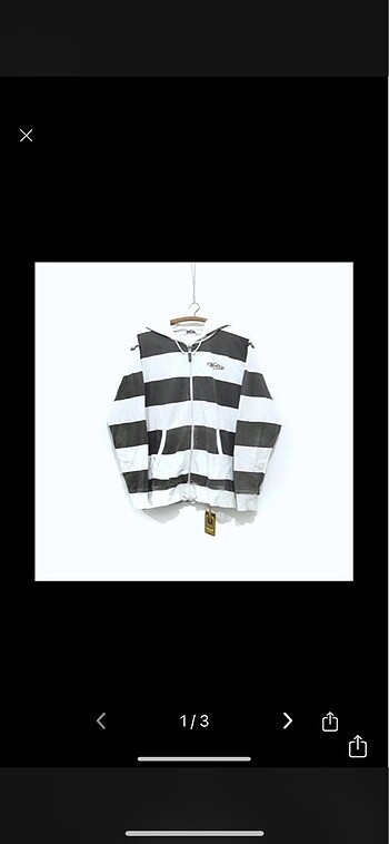 Hoddie