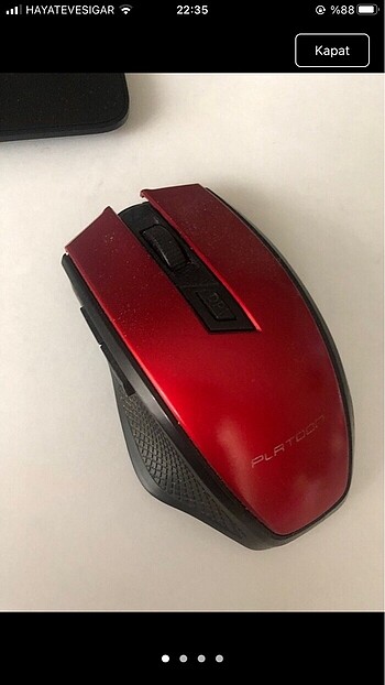 Mouse