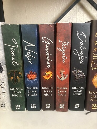 Binnur şafak nigiz is serisi