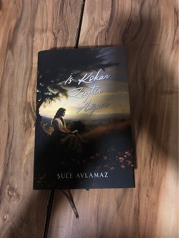 Şule avlamaz is kokan zeytin ağacı