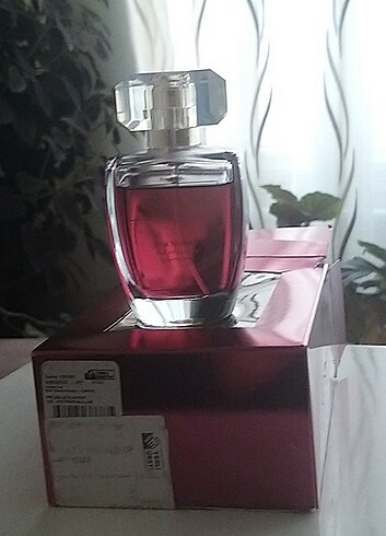  Beden Renk LCW GLAM CAROLİNA HERRERA VERY GOOD GİRL MUADİLİ