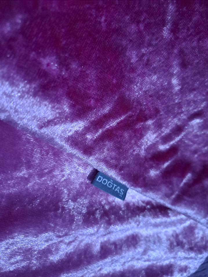 kadife kırlent - Görsel 3