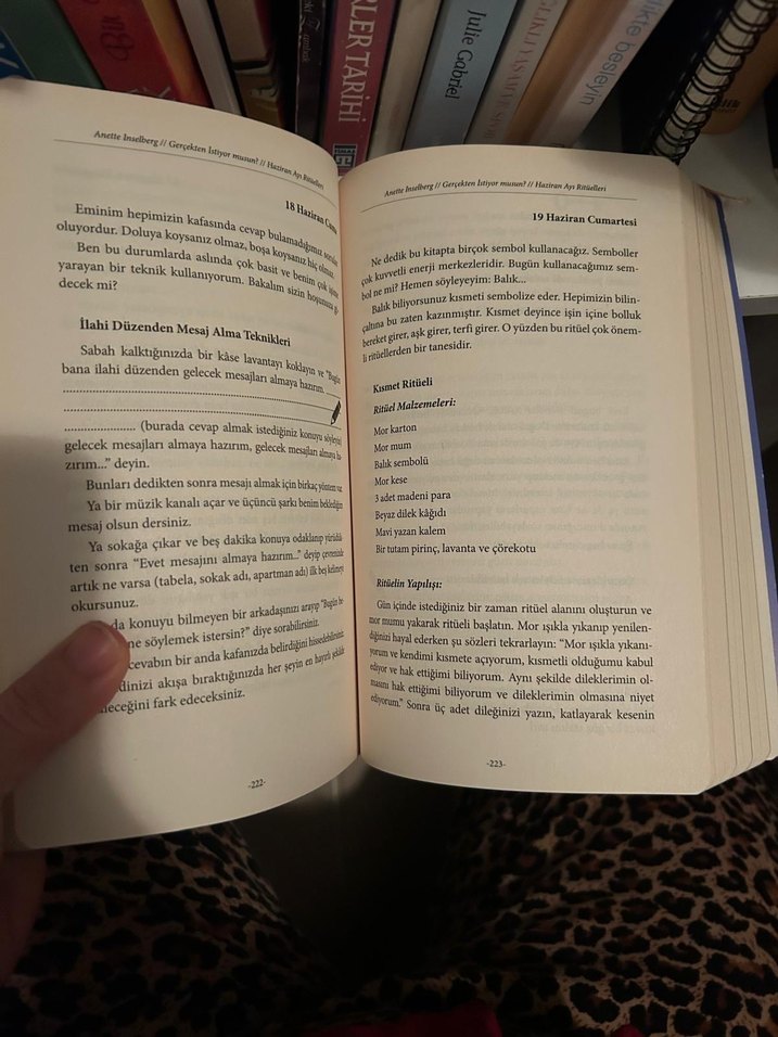 Gerçekten İstiyor Musun? - Anette Inselberg - Görsel 3