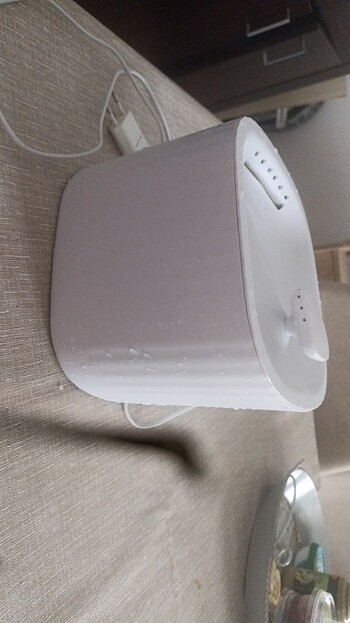 Kedi Şu sebili - Görsel 3