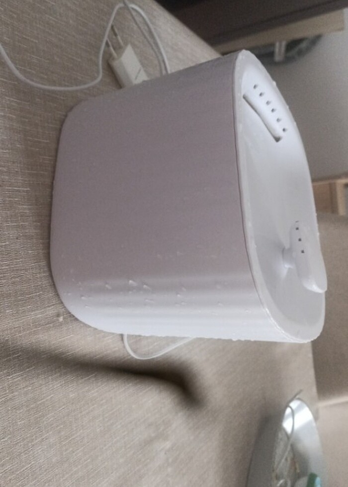 Kedi Şu sebili - Görsel 3