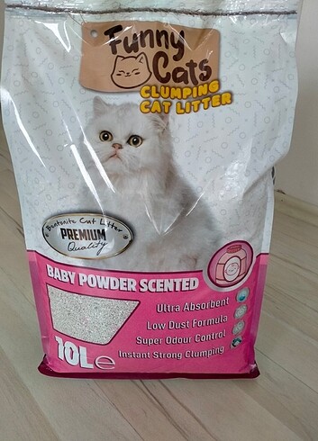 Kedi kumu