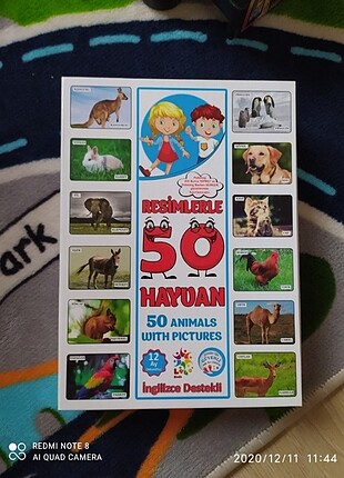 Eğitici Kartlar İlk 50 Hayvan Flash Cards İlk Zeka Kartlarım 