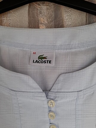 Lacoste Lacoste gömlek bluz