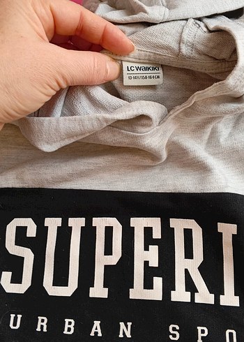 Gri Baskılı Kapüşonlu Erkek Sweatshirt - Görsel 2