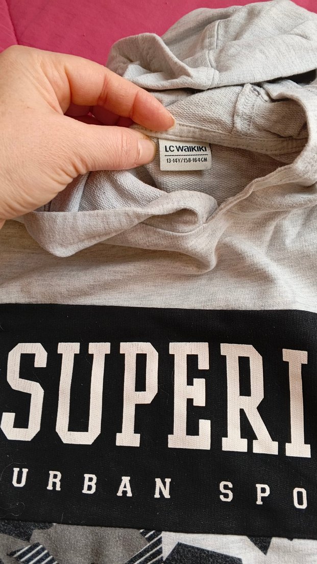 Gri Baskılı Kapüşonlu Erkek Sweatshirt - Görsel 2