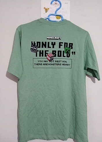 Zara Çocuk t-shirt