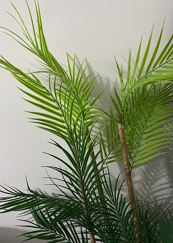 Bahçem Ahşap Saksılı Yapay Palmiye Çiçeği - Görsel 3