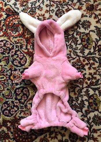  Pembe Kürklü Tavşan Temalı Kedi Tulumu (kedi kıyafeti)