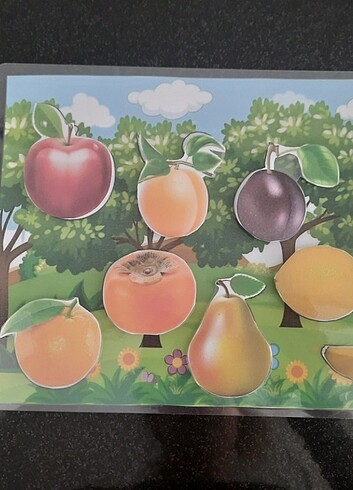 Meyve eşleştirme etkinliği pvc kaplama