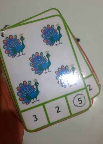 Yaz sil matematik rakam etkinlik kartlari