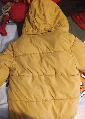 Erkek Çocuk Sarı Kapüşonlu Fermuarlı Mont - Görsel 3