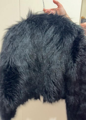 Besrhka kürk - Görsel 3