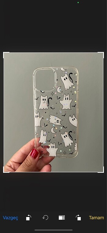 iPhone 13 14 Şeffaf Desenli Kılıf