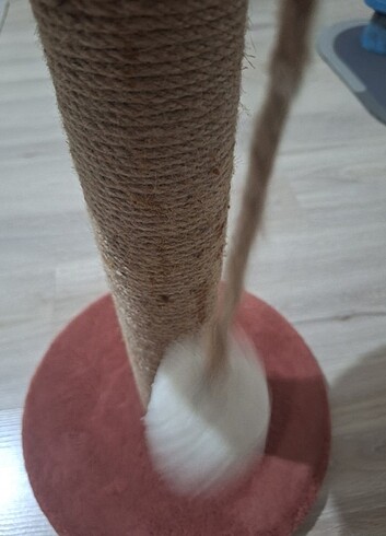  Beden KEDİ TIRMALA TAHTASI 