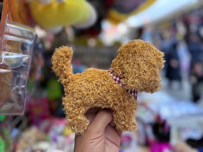 Pilli havlayan köpek