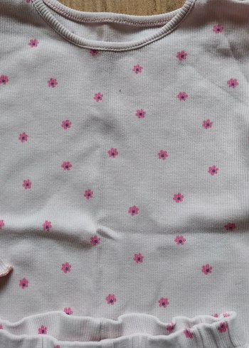 tertemiz - Görsel 3