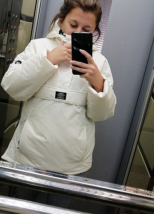 Pul bear 