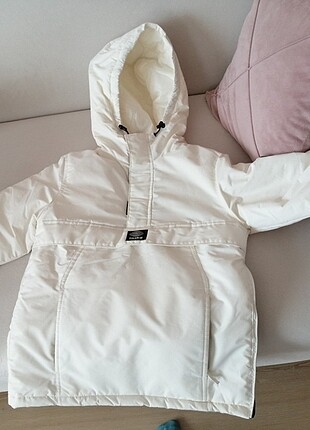 Pulbear mont