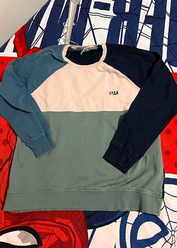 Erkek Çok Renkli Pamuklu Sweatshirt