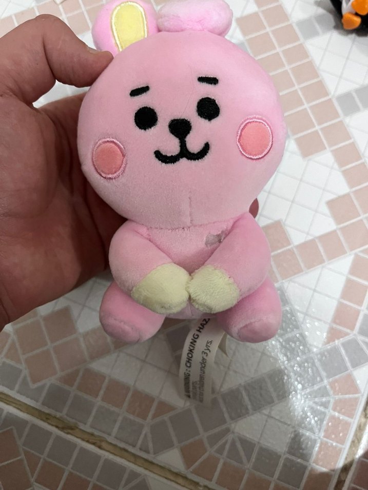 BTS Pembe Pastel Peluş Oyuncak - Görsel 2