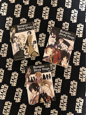 Bungo stray dogs ilk 3 cilt