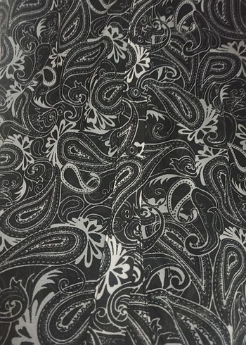 Desenli kadın gömlek - Görsel 3