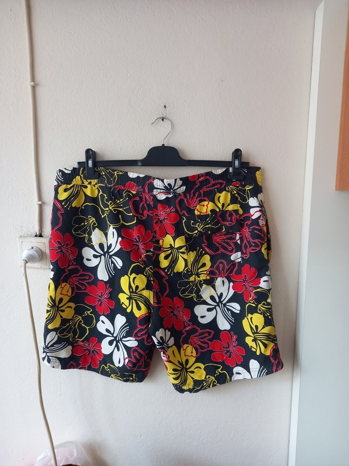 Harika Renkli Plaj Şortu - Görsel 3