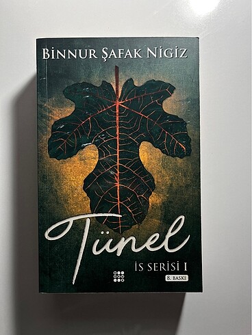 binnur nigiz is serisi dört kitap