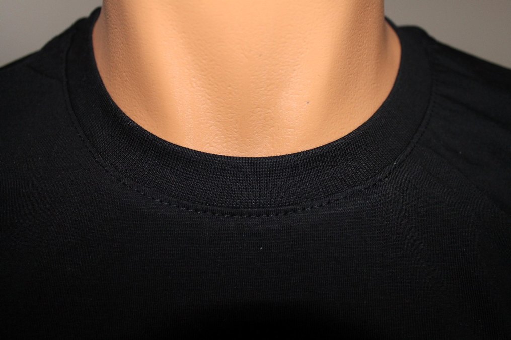 Aslan Desen Nakış İşlemeli Tshirt %100 Pamuk Siyah Sıfır Yaka - Görsel 4