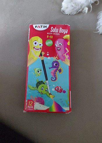  12 Renk Sulu Boya Seti