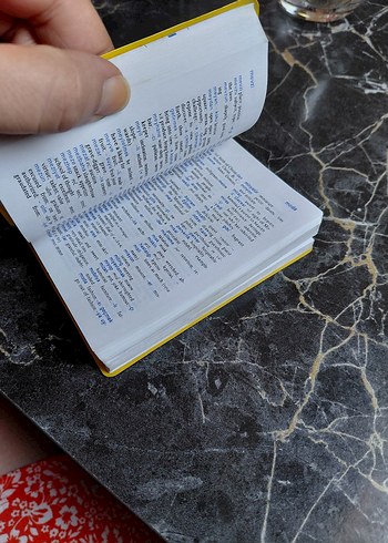 Langenscheidt İngilizce-Türkçe Evrensel Sözlük - Görsel 2