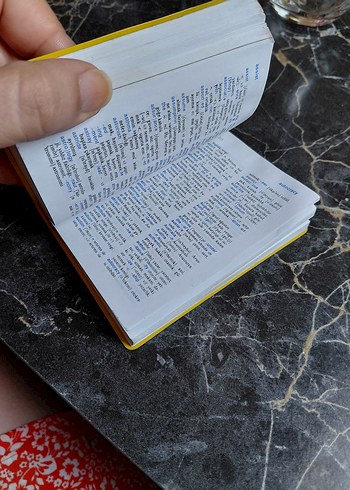 Langenscheidt İngilizce-Türkçe Evrensel Sözlük - Görsel 3