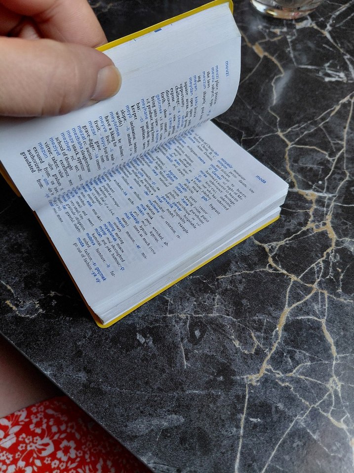 Langenscheidt İngilizce-Türkçe Evrensel Sözlük - Görsel 2