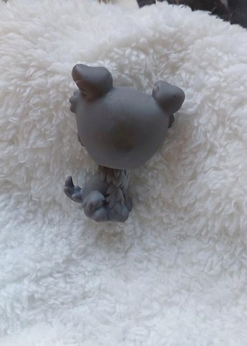 Beden Gri Sevimli Köpek Miniş