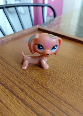 Renkli Kahverengi Köpek Miniş