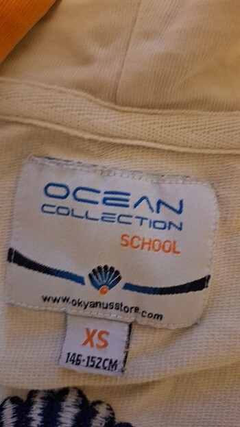 Okyanus kolej lacos - Görsel 6