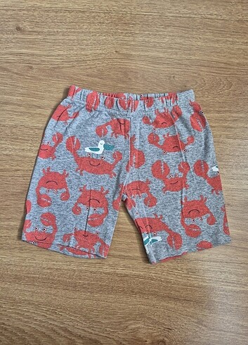 24-36 Ay Beden Carters