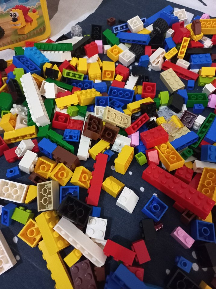 LEGO 10662 Renkli Hayvan Figürleri Seti - Görsel 5