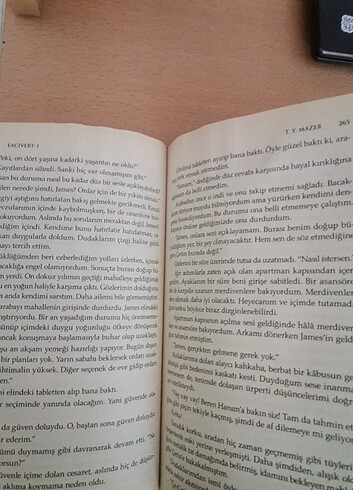 Lacivert ve lacivert safir - Görsel 5