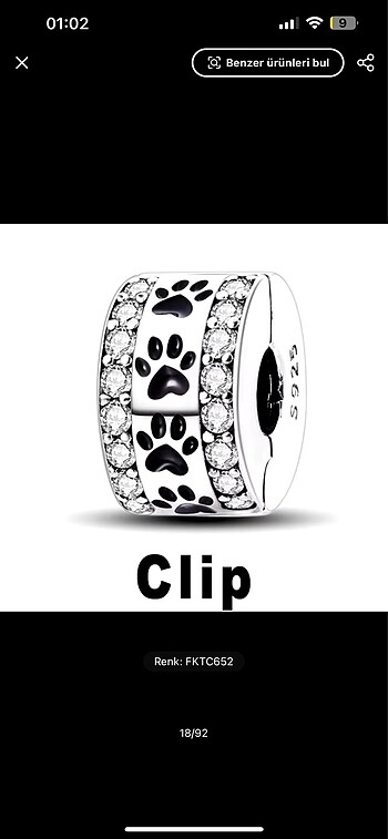 Gümüş Pandora Charm